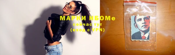 стафф Майский