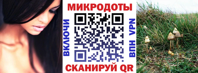 Купить где  Чайковский  Псилоцибиновые грибы Psilocybine cubensis 